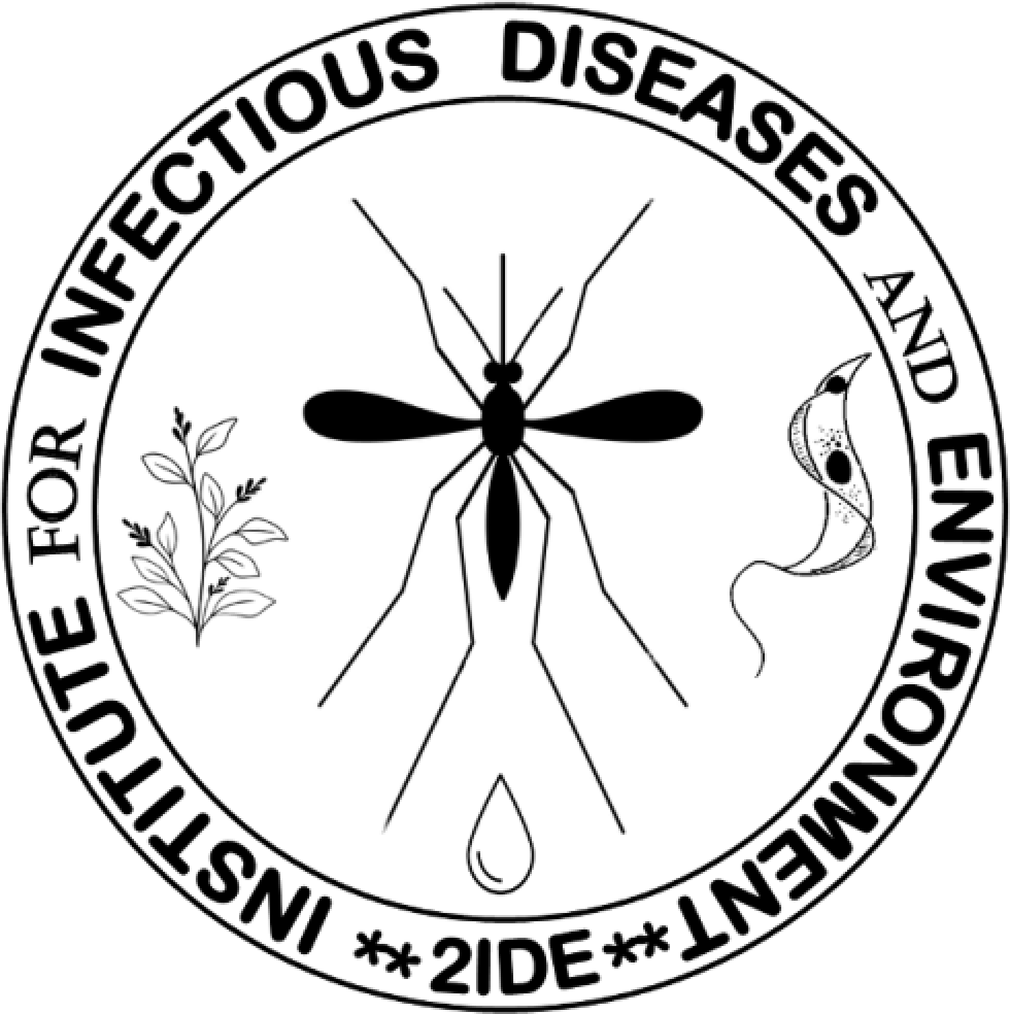 2IDE logo